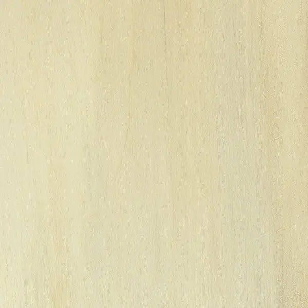 Basswood Basswood