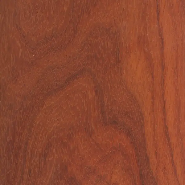 Padauk Padauk