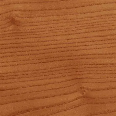 Red Elm Red Elm