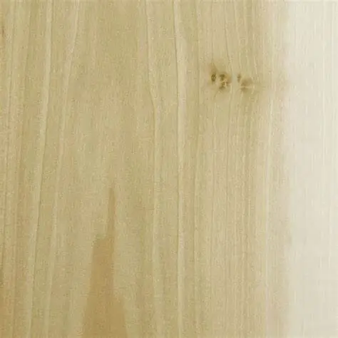 Poplar Poplar