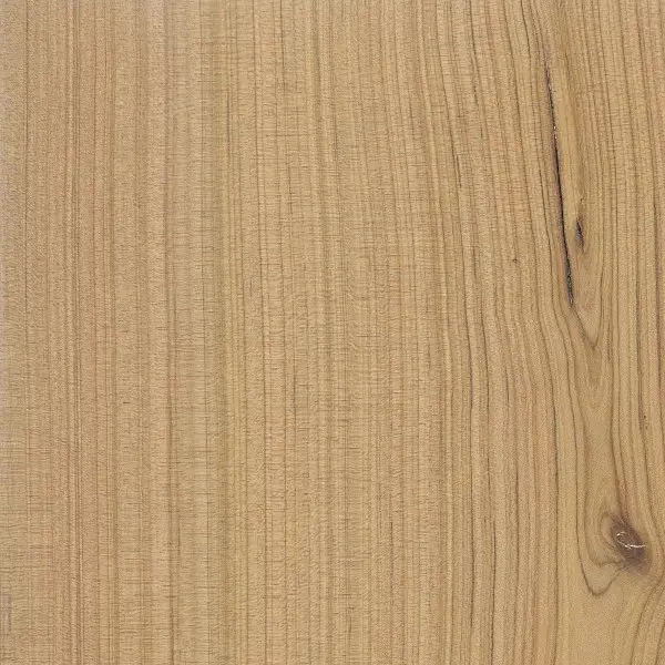 Cypress Cypress