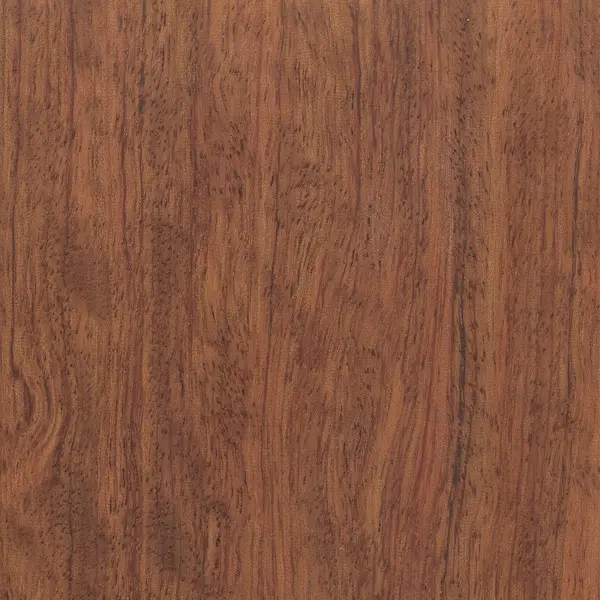 Bubinga Bubinga