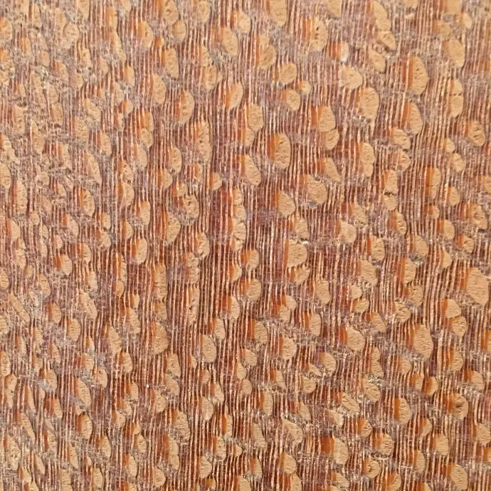 Leopardwood Leopardwood