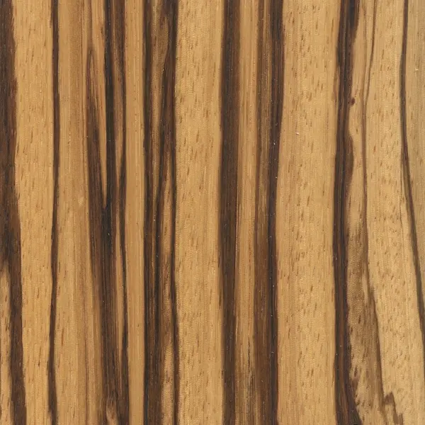 Zebrawood Zebrawood