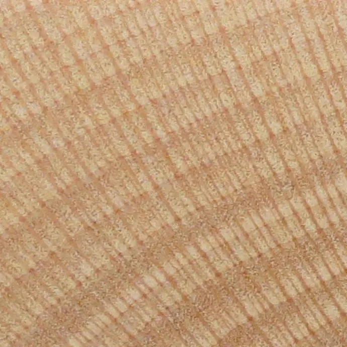 Sycamore Sycamore