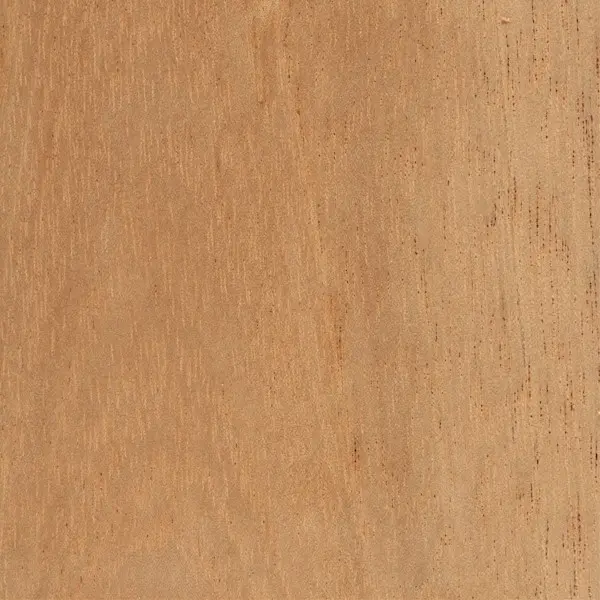 Spanish Cedar Spanish Cedar