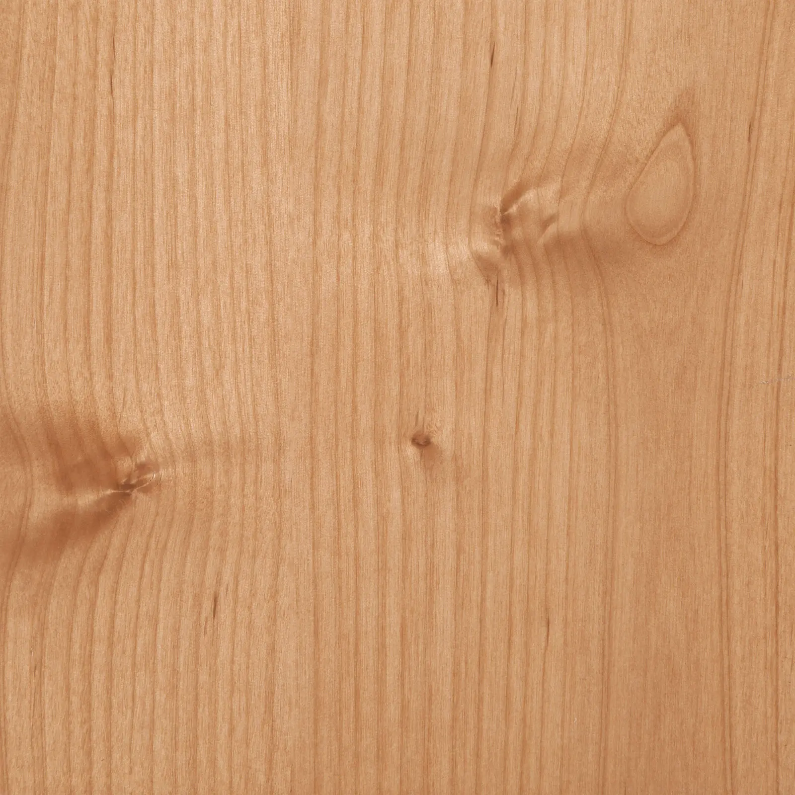 Alder Alder