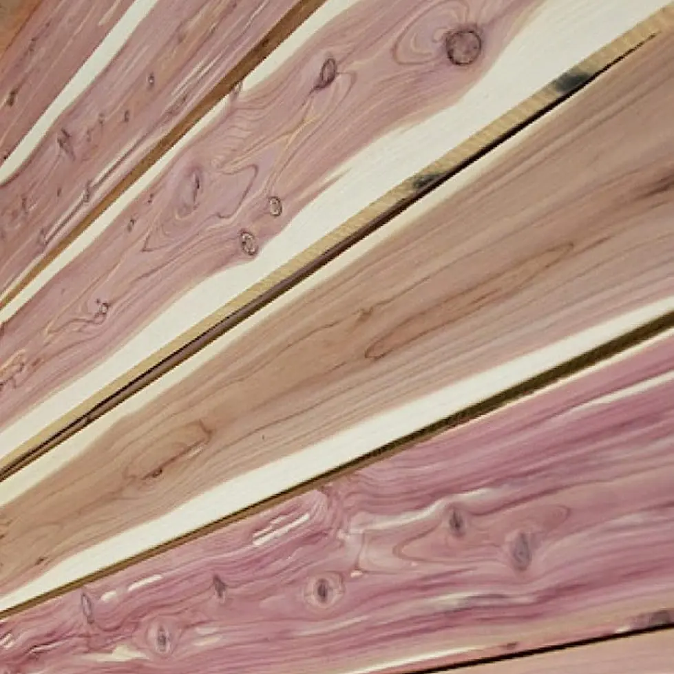 Aromatic Cedar Aromatic Cedar